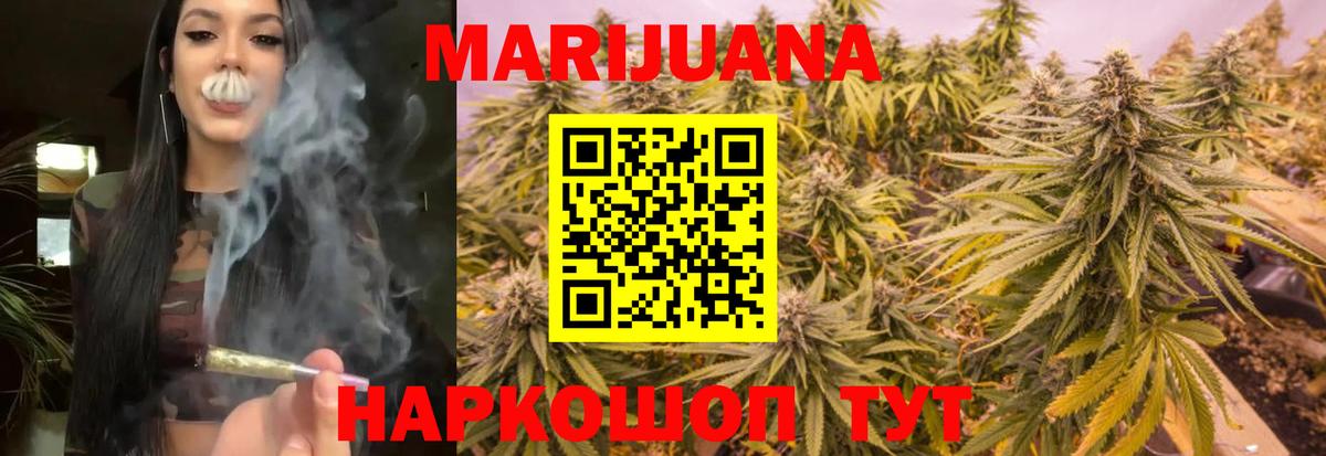 Каменка  Бошки Шишки сатива  Марихуана планчик  Вход с VPN 
